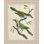 Blue Birds 5 Painting