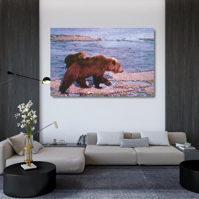 Ours brun portant un ourson, Alaska