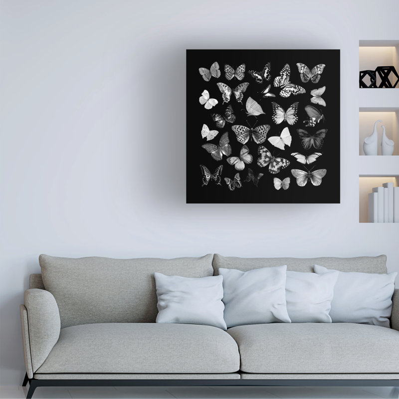 Animaux, papillons noirs et blancs sur toile, H 14 po x l 14 po x P 2 po