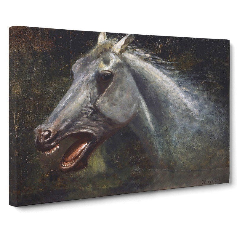 A Wild Stallion by Albert Bierstadt - Wrapped Canvas, 50cm H x 76cm W x 3cm D