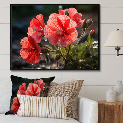 Corail géraniums - impression