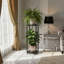 Plant Stand