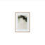 Espira Framed Print
