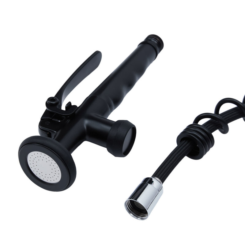 Belfry Kitchen Burhill Pull Out Kitchen Faucet, Black