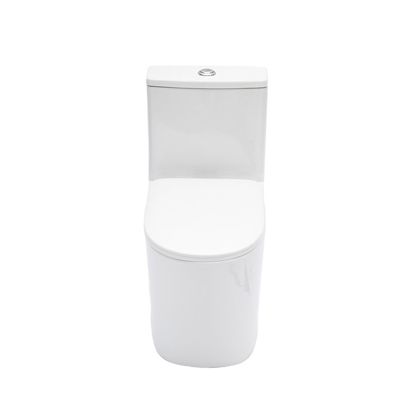 Ceramic One Piece Toilet for Bathroom, 12-inch Rough-In, 1.1/1.6 GPF, Dual Flush with Soft Clsoing Seat, Powerful Dual Flush MAP 800g