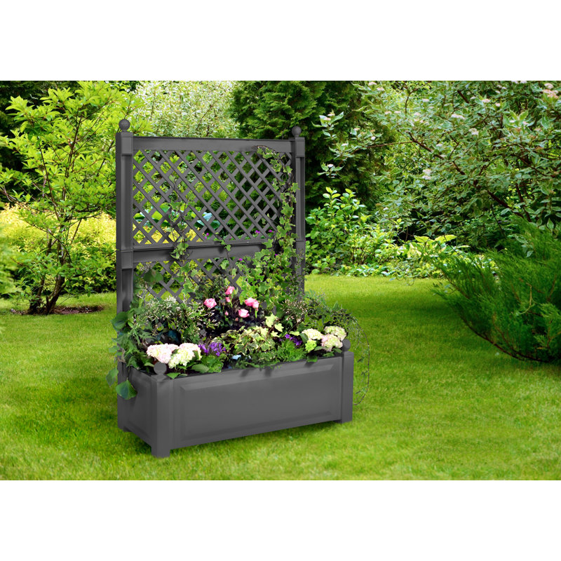 Planter Box, Anthracite