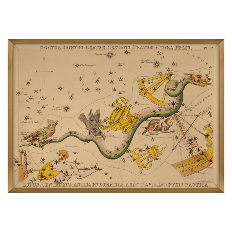 Noctua Print by Grand Archives, Gold Framed, 32" H x 45" W