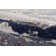 Floreat Abstract Indoor Rug