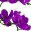 Artificial Arrangement in Planter