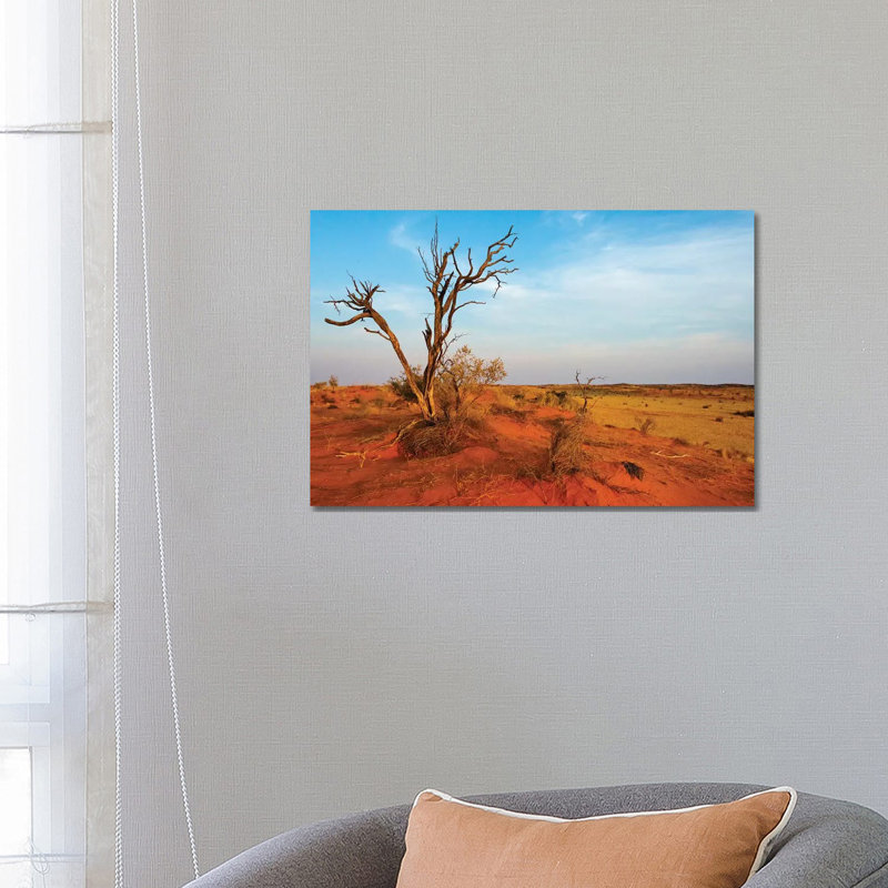 Dead Tree on Red Sand Desert, Kgalagadi Transfrontier Park, South Africa 1 Piece Wrapped Canvas Wall Art