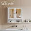 Wall Mounted Required Bathroom Cabinet
