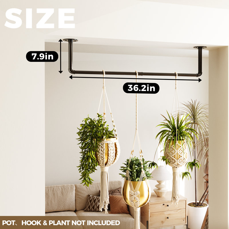 Tige de plante suspendue en métal 36,2 po - Étagère de fenêtre d'intérieur (plante / chaîne / plante non incluse)