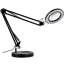 Dastina Adjustable Novelty Lamp