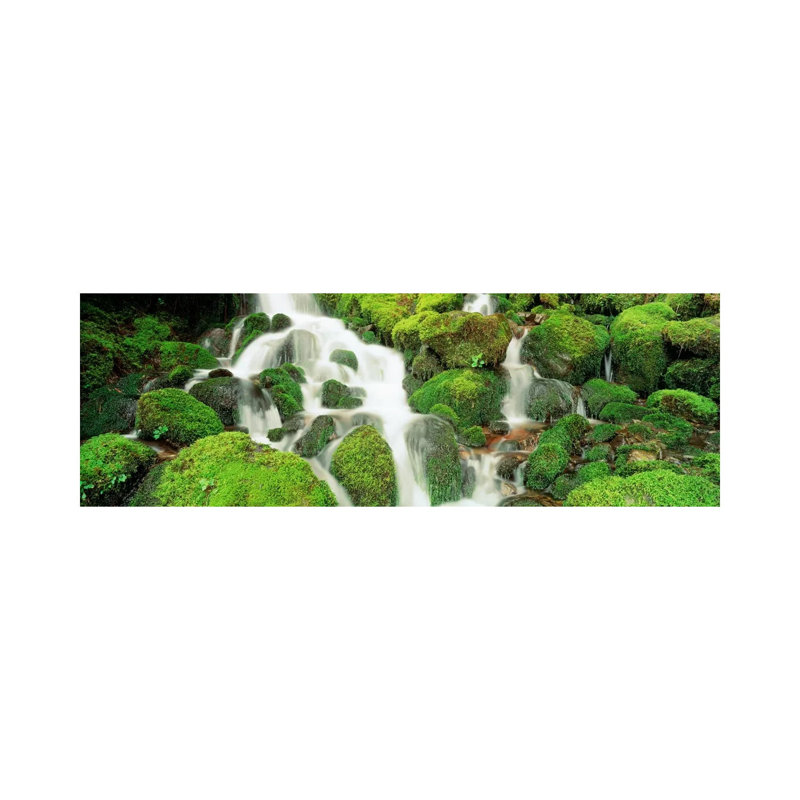 Sol Duc Falls, Olympic National Park, Washington, USA 1 Piece Wrapped Canvas Panoramic Wall Art