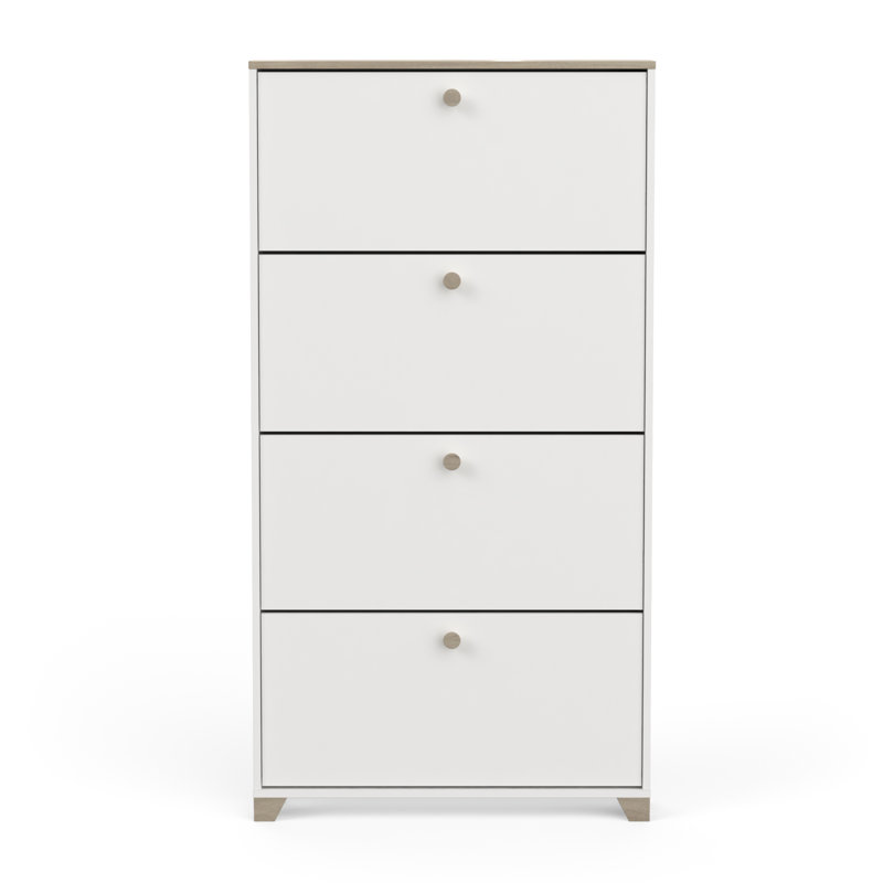 Barbaa 12 Pair Shoe Storage Cabinet