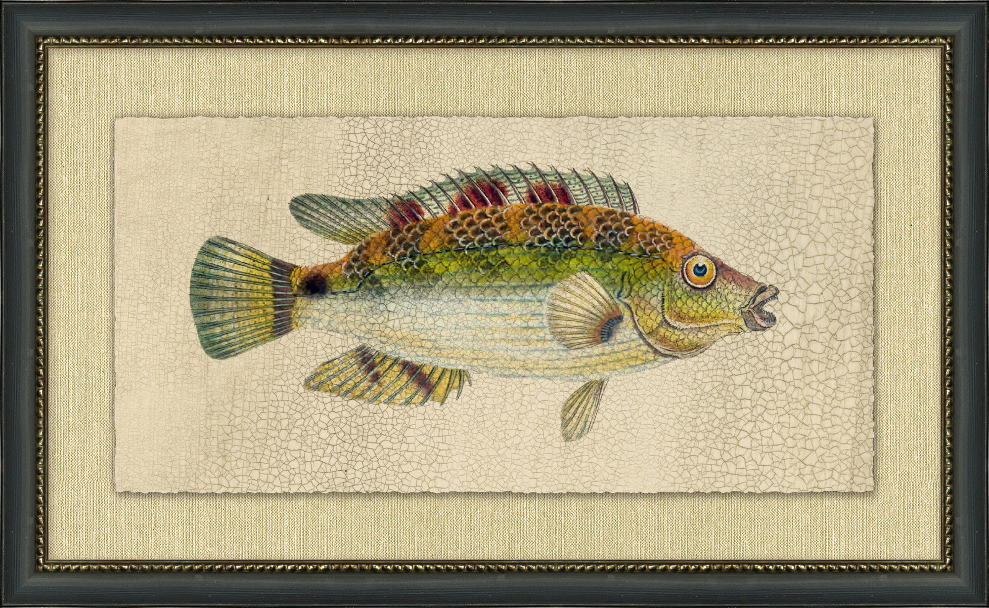Wendover Art Group Fish Study 3 - Picture Frame Painting | Perigold