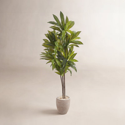 68'' Faux Dracaena Tree in Ceramic Planter
