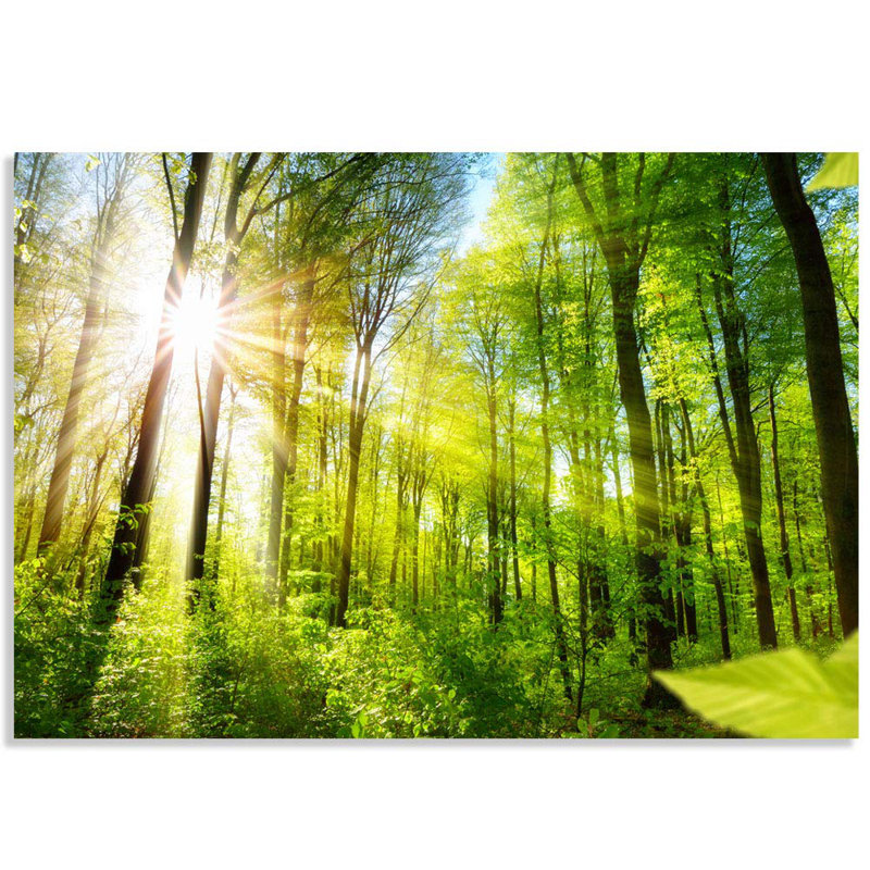 Peel & Stick Border, 100" L x 144" W