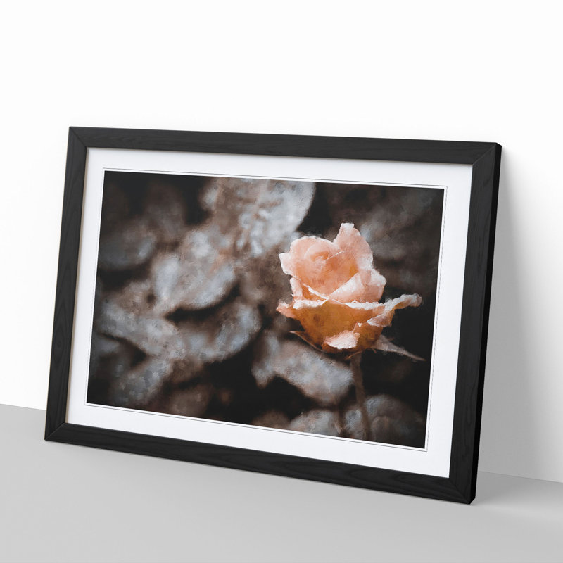 Pink Rose Flower Vol.5 - Framed Print, 36cm H x 48cm W x 2cm D, Black Framed