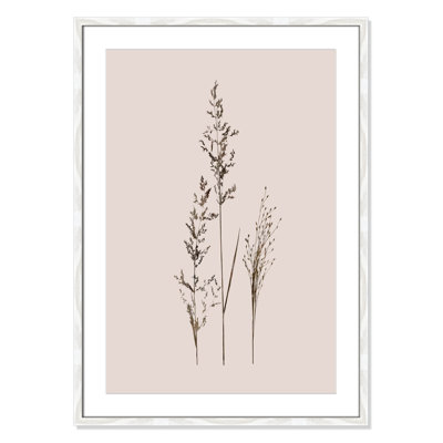 Delicate Stems I by Carol Robinson - Single Picture Frame Print -  Birch Lane™, 662EAA3F066744F7B525164F5EC26CD9