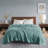Blanket-119336292-119336291