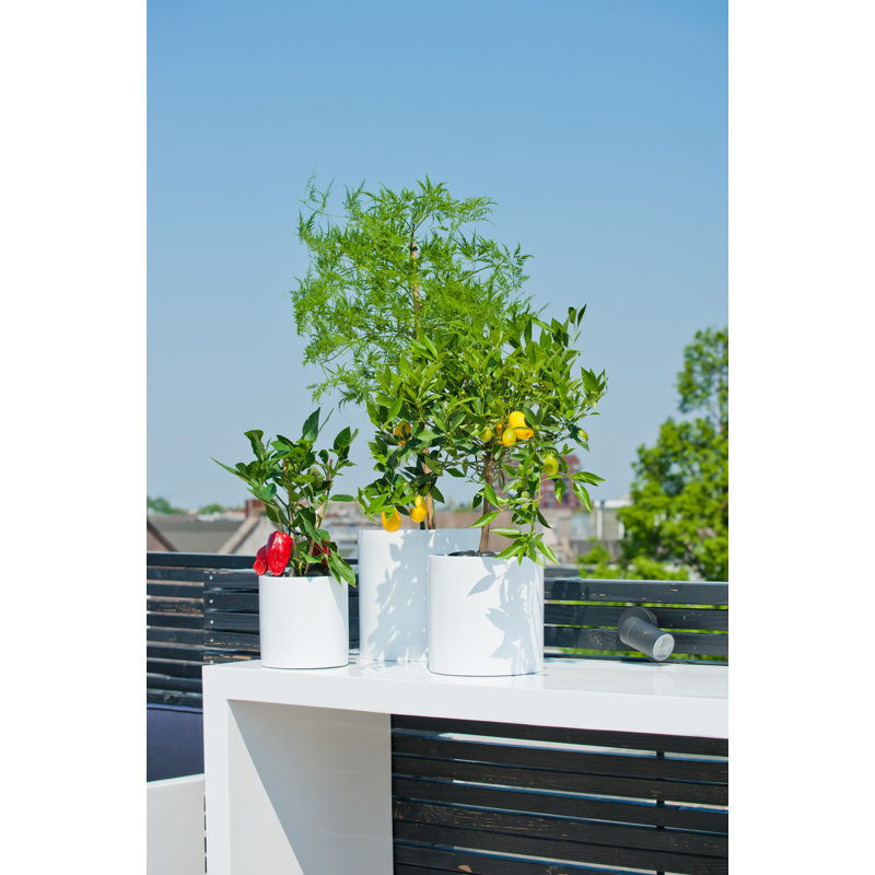 Outdoor White Fiberstone Pot