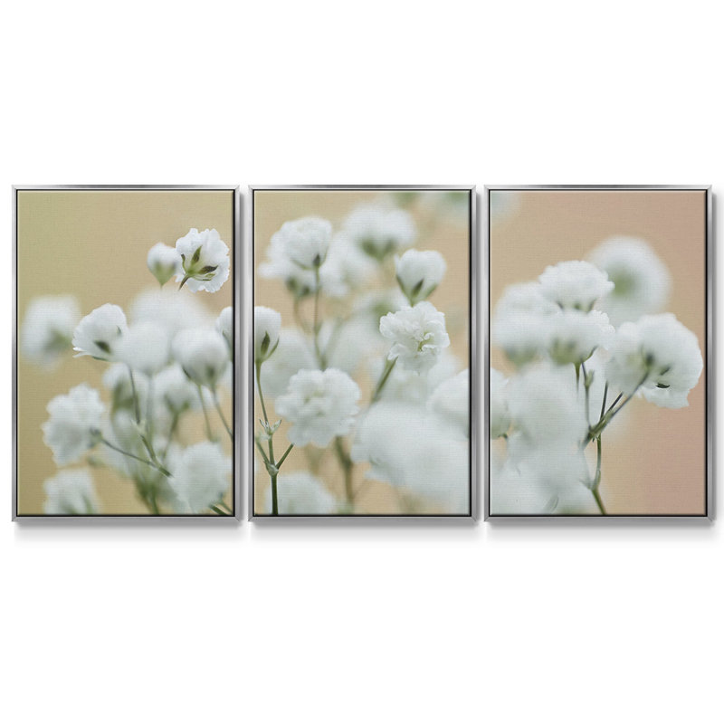 Baby's Breath Study II - Toile encadrée multi-pièces, H 24 po x l 48 po x P 2 po, Argent