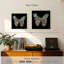 Papillon vibrant Brampt-109394033
