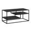 Four Leg Coffee Table with Storage-70211115