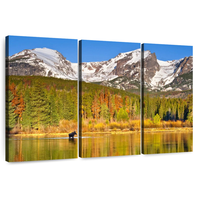 Moose Alvord Lake, Lakeside Moutains, H 48 po x l 74 po