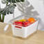 Lexington Acrylic Food Storage Container