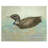 Armelle Polyester No Pattern Rectangle Placemat