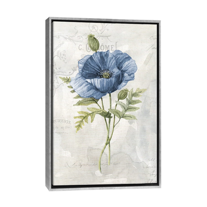 «Blue Linen Poppy» par Carol Robinson - reproduction d'art, H 26 po x l 18 po x 1,5 po, Pas de tapis