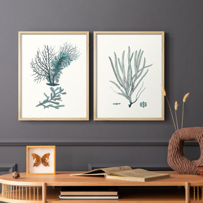 Antique Coastal Coral VI-Premium Framed Print -Ready to Hang - No Nails Required - No Nails Required