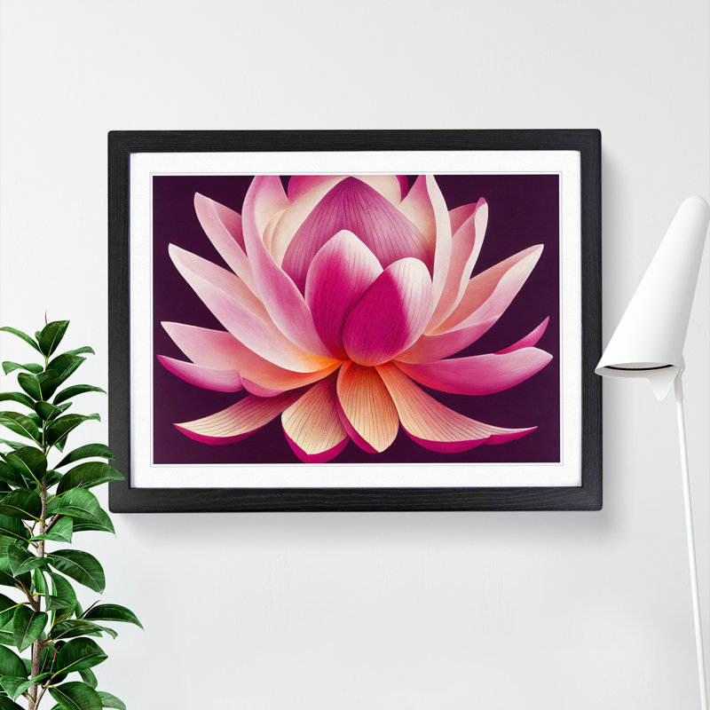 Beguiling Lotus Flower - Single Picture Frame Print, Black Frame, 46cm H x 64cm W x 2cm D