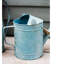 Pot de fleurs en fer lacine