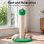 Griffoir géant de 56 cm avec corde en sisal et jouet suspendu interactif, poteau à griffer robuste pour chatons et grands chats, de couleur verte.-408571310