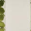 Palm Leaf Mini Square Pillow Cover & Insert-1332908927-1332908925