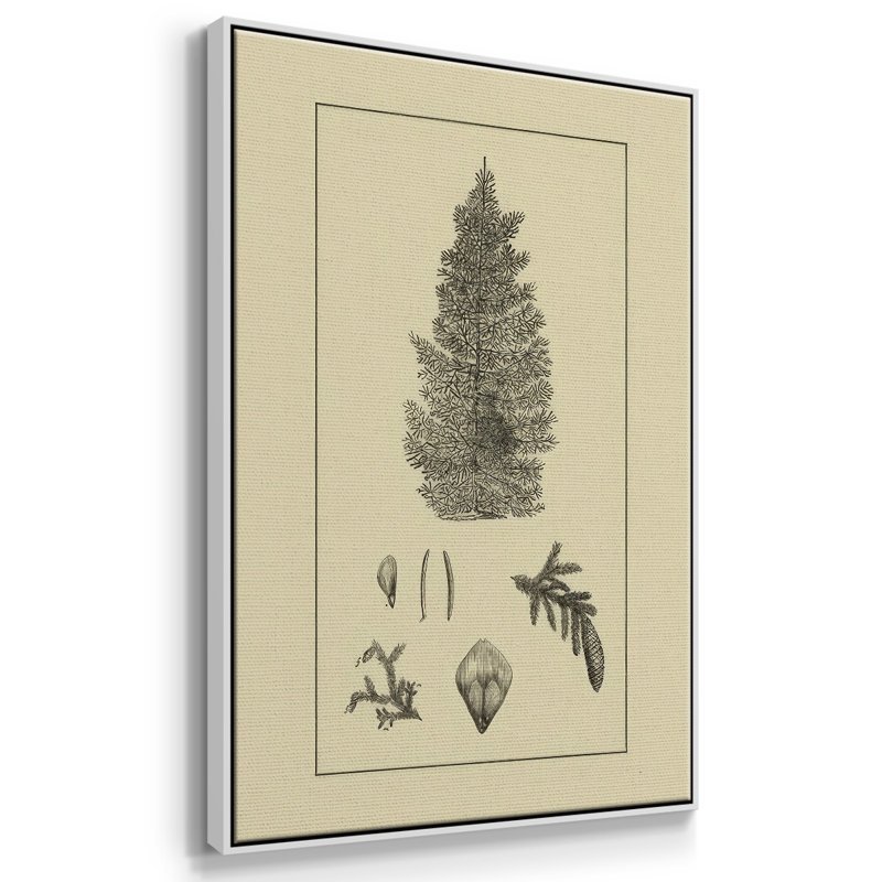 Arbor Study I, H 25 po x l 17 po x P 1,5 po, Blanc