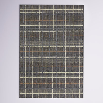 Pesina II Charcoal / Multi Indoor/Outdoor Area Rug