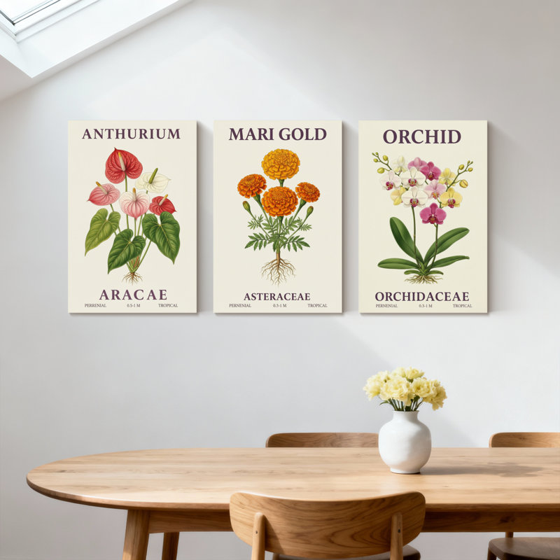 Plantes et fleurs, ensemble de 3 reproductions d'art sur toile, orchidées et plantes, H 18 po x l 36 po