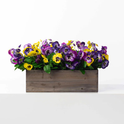 Boîte à fleurs mélangée pourpre, violette et jaune