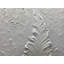 «White Textured Feather Wall Art», reproduction d'art