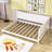 Evelene Daybed-1967188021-1967188011