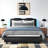 Belarmina PU Upholstered Low Profile Platform Bed with LED Light-1894314352-1894314355