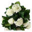 Faux Plant in Pot Liner-93266718-93266720
