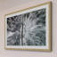 Karolis Janulis - Single Picture Frame Print-1678053475