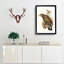 Kea Parrot by Elizabeth Gould - Picture Frame Graphic Art Print-55609788-55609787