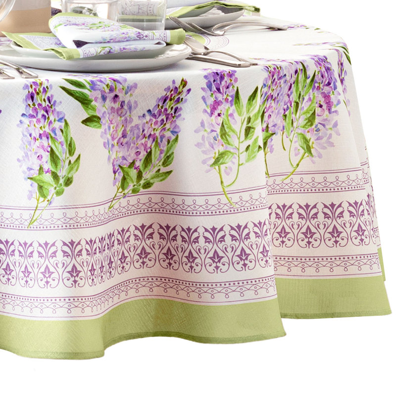 Nappe Shonnard