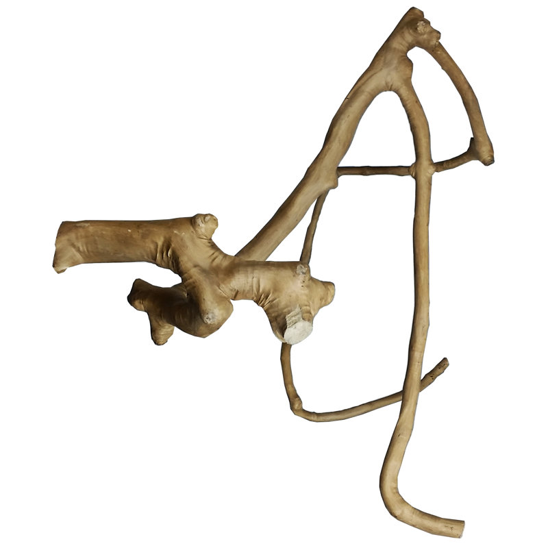 Perchoir multi branches en bois A & e Cage Co. Java, Grand (L 26 po)
